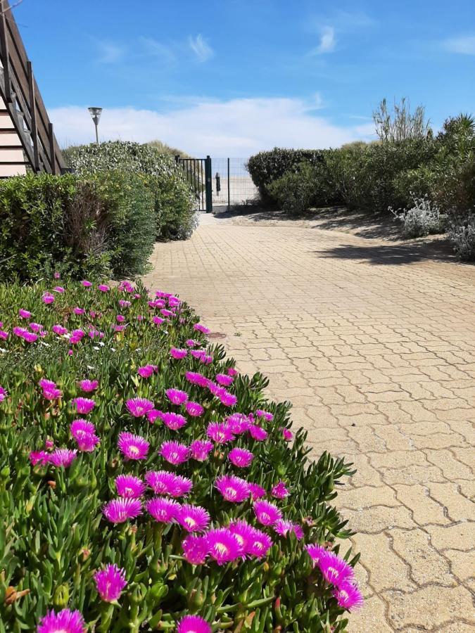 Plage De La Roquille 아그 외부 사진